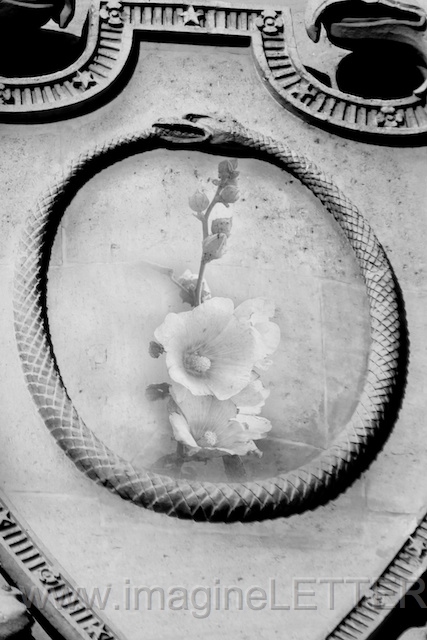 Wall_Art_Alphabet_Photography_Art_ 1685.jpg